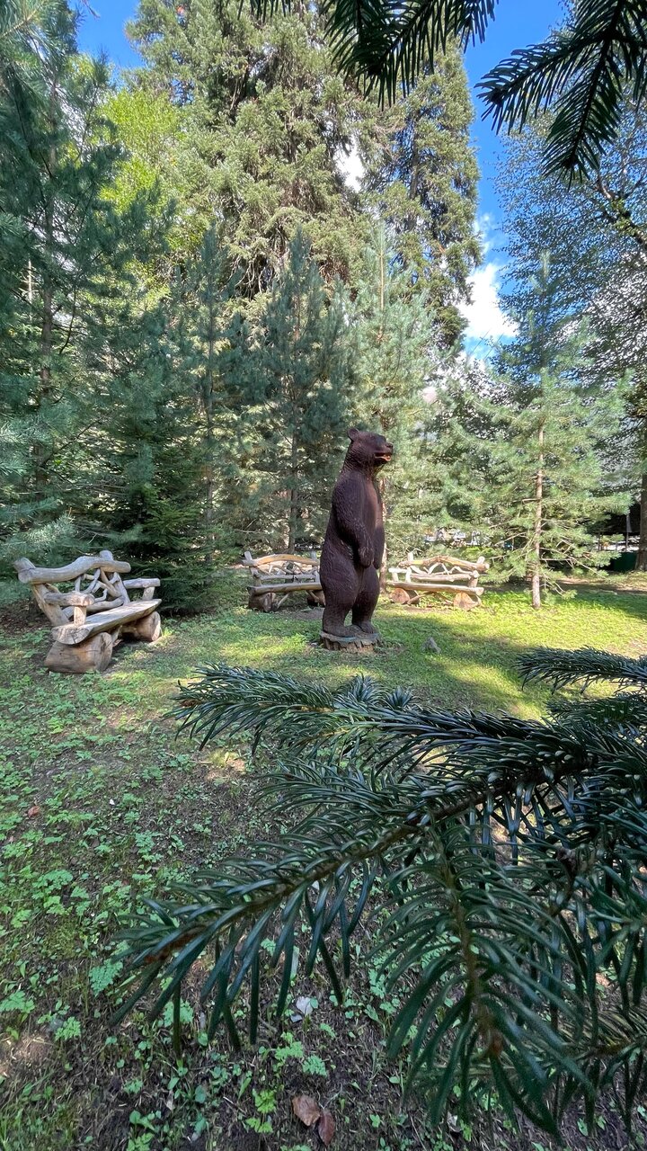 Гостевой дом Банковская дача Архыз-15