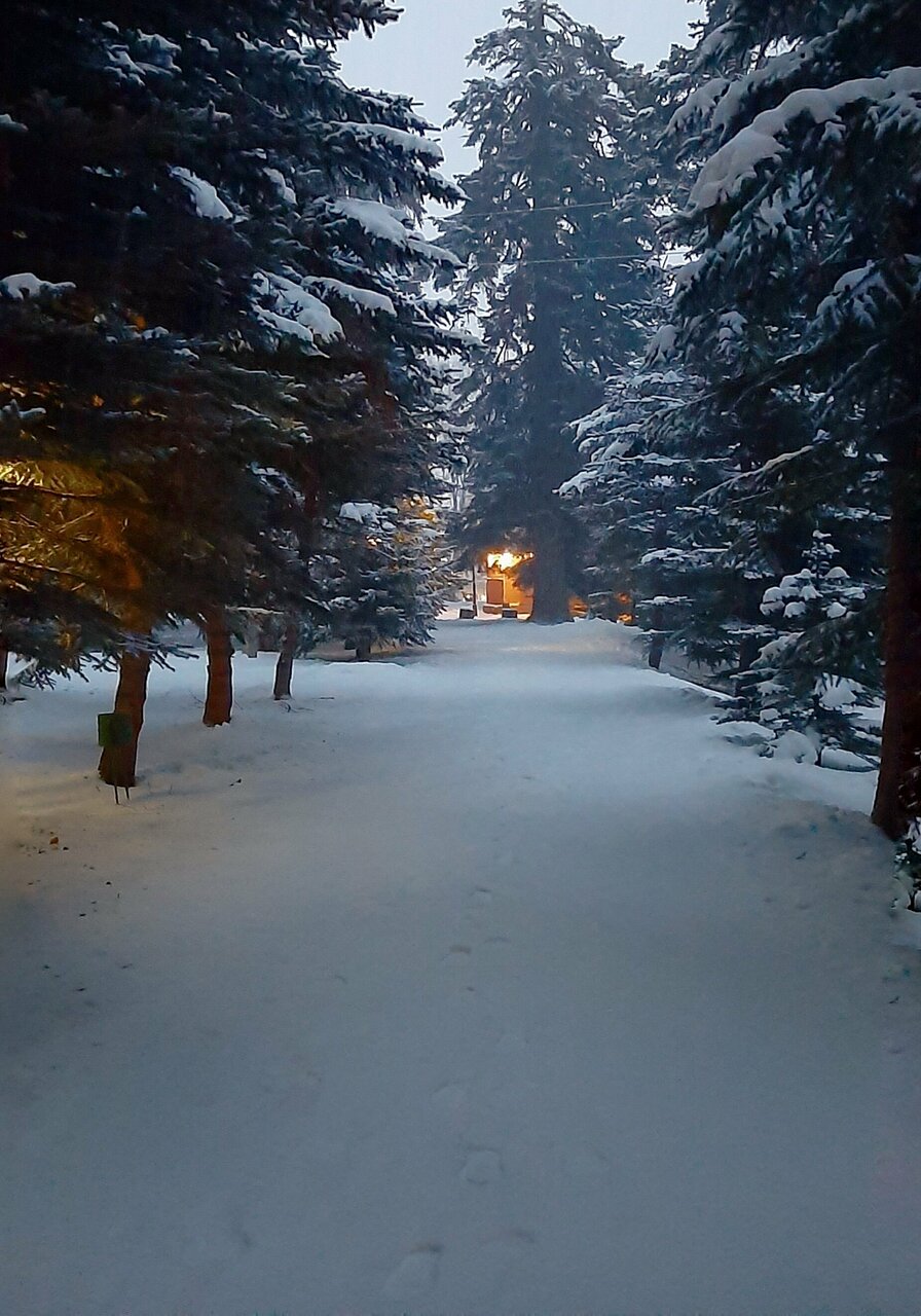 Гостевой дом Банковская дача Архыз-20