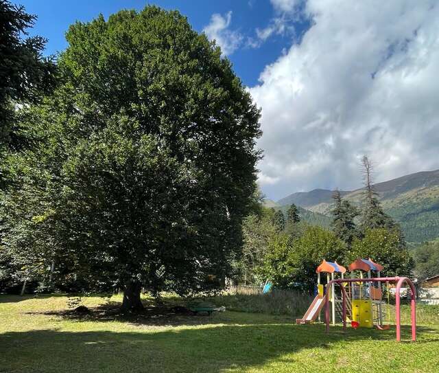 Гостевой дом Банковская дача Архыз-10