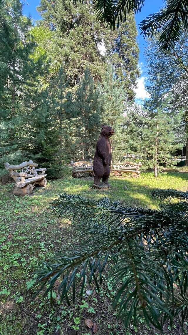 Гостевой дом Банковская дача Архыз-14