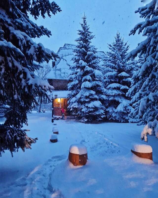 Гостевой дом Банковская дача Архыз-16